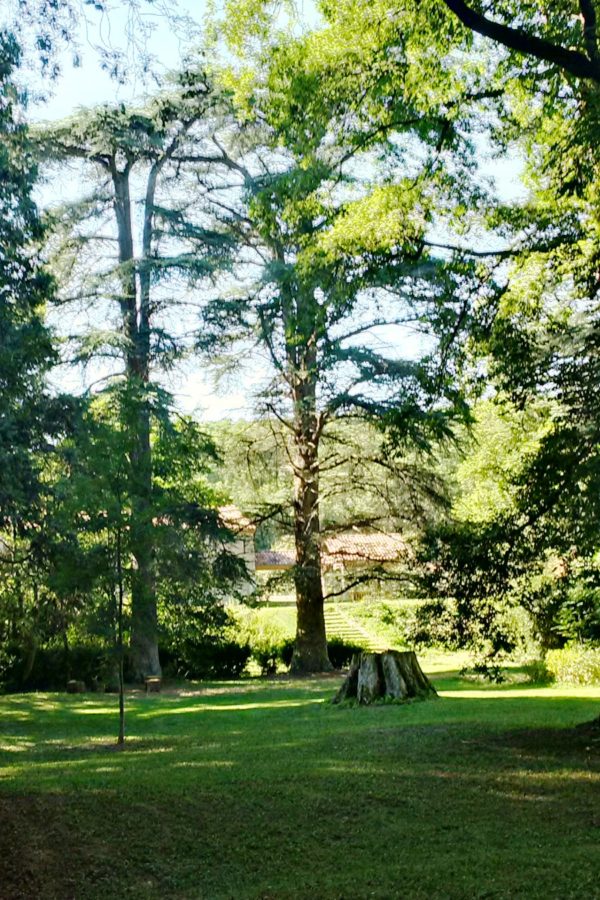 Location Salle de Réception, Mariages, Evénements - Albi - Gîtes & Chambres d'Hôtes - Tarn