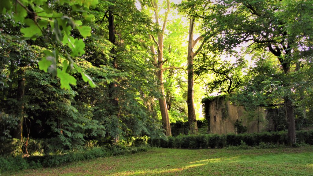 Location Salle de Réception, Mariages, Evénements - Albi - Gîtes & Chambres d'Hôtes - Occitanie - Tarn