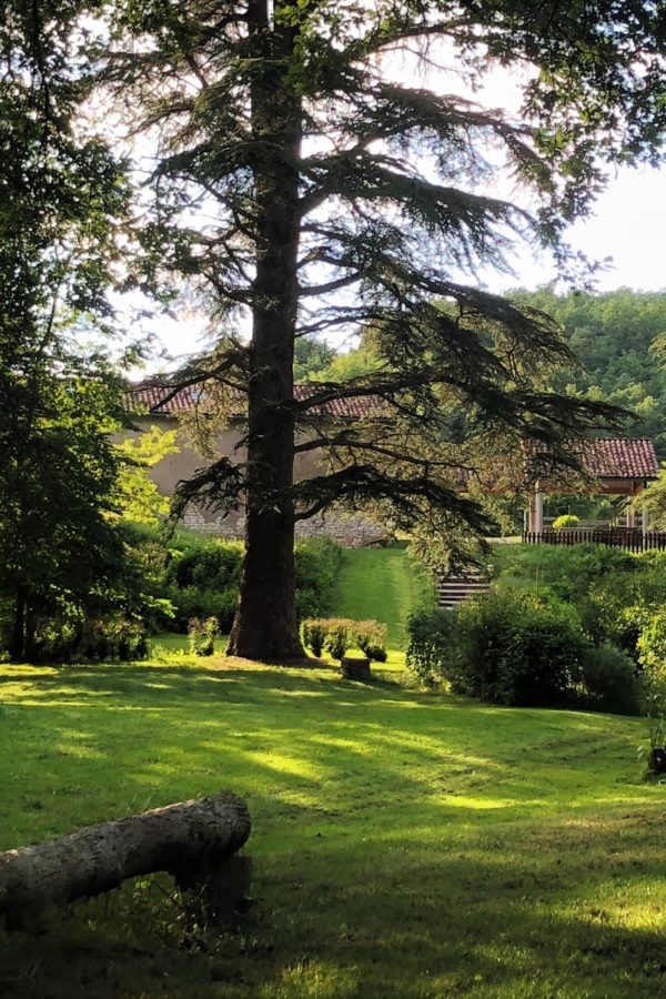 Domaine Location Salle Lieu Mariages Événements - Albi Tarn 81 --- Evénements Privés & Professionnels Salle Séminaires Stages Ateliers Formations Conférences Manifestations Mariages, Réunions Familiales, Baptêmes, Cocktails, Buffets Piscine Parc 2 Ha